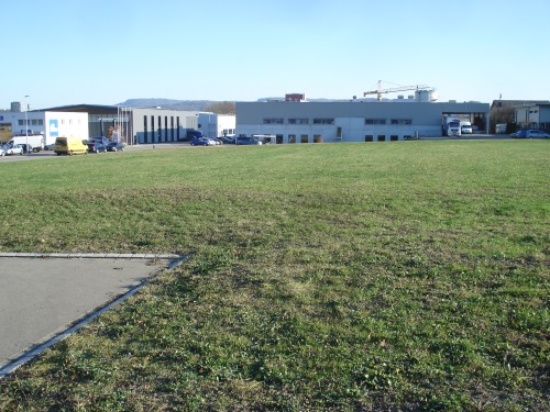 ZH2131B_Altmannsteinstrasse-Höri_Bild2-500web.JPG